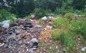  BZUK usunął dzikie wysypiska  (7)