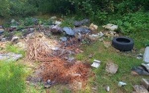  BZUK usunął dzikie wysypiska  (8)