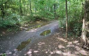  BZUK usunął dzikie wysypiska  (9)