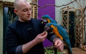 Araland - ptasia przystań w sercu miasta (7)