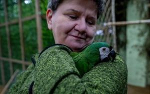 Araland - ptasia przystań w sercu miasta (8)