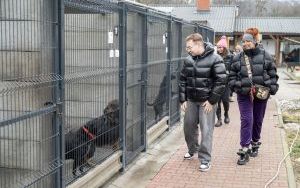 Szkolenia dla nowych wolontariuszy schroniska (3)
