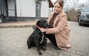 Szkolenia dla nowych wolontariuszy schroniska (8)