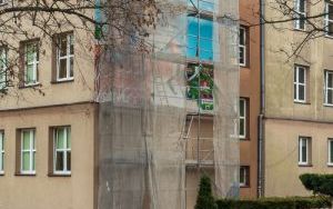 Murale o tematyce ekologicznej ozdobią bytomskie szkoły (1)