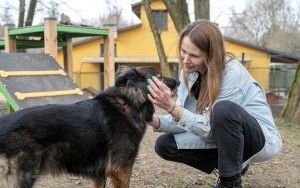 Katarzyna Eberhardt - nowa kierowniczka Bytomskiego Schroniska dla Bezdomnych Zwierząt (2)