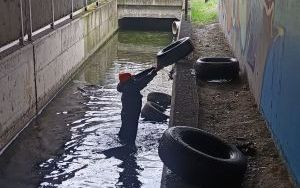 Prawdziwą plagą są opony porzucone w ustronnych miejscach i na terenach zielonych. Na zdjęciu opony w okolicach Alei Jana Nowaka Jeziorańskiego