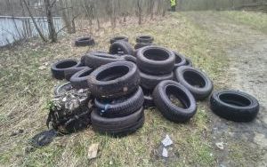 Prawdziwą plagą są opony porzucone w ustronnych miejscach i na terenach zielonych. Na zdjęciu opony w okolicach Alei Jana Nowaka Jeziorańskiego