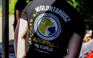 Dzień Otwarty Schroniska w Bytomiu za nami (8)