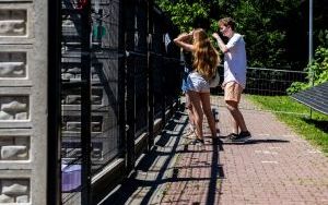 Dzień Otwarty Schroniska w Bytomiu za nami (14)