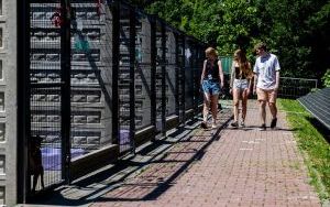 Dzień Otwarty Schroniska w Bytomiu za nami (15)