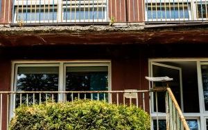 Przedszkole Miejskie nr 52 w Stroszku przejdzie termomodernizację (5)