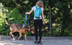 Sobotni spacer z psami  (4)