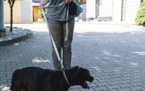 Sobotni spacer z psami  (6)