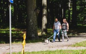 Sobotni spacer z psami  (9)