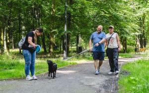 Sobotni spacer z psami  (11)