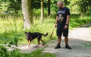 Sobotni spacer z psami  (14)