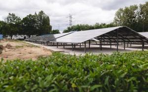 Oczyszczalnia Ścieków „Centralna” przechodzi modernizację (6)