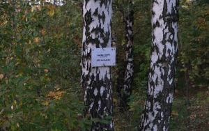Odkryj piękno Suchogórskiego Labiryntu Skalnego (4)