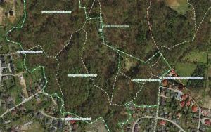 Odkryj piękno Suchogórskiego Labiryntu Skalnego (3)