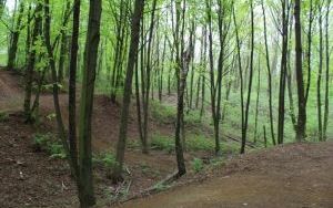 Odkryj piękno Suchogórskiego Labiryntu Skalnego (5)
