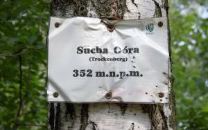Spacerem po Suchogórskim Labiryncie Skalnym (2)