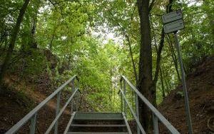 Spacerem po Suchogórskim Labiryncie Skalnym (13)