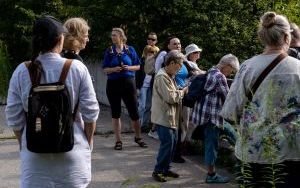  W zieleni i odgłosach Żabich Dołów (2)