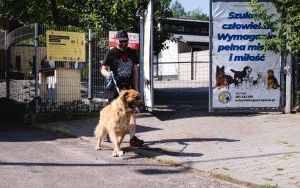Kolejny spacer z psami ze schroniska (1)