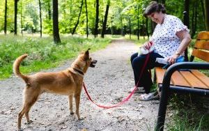 Kolejny spacer z psami ze schroniska (7)