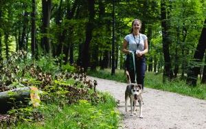 Kolejny spacer z psami ze schroniska (9)