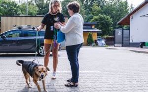 Za nami kolejne spacery z psami. Tym razem z okazji Międzynarodowego Dnia Psa (3)