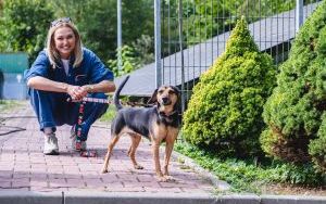 Za nami kolejne spacery z psami. Tym razem z okazji Międzynarodowego Dnia Psa (6)