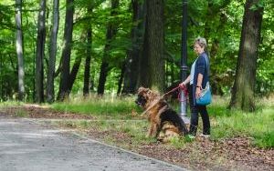 Za nami kolejne spacery z psami. Tym razem z okazji Międzynarodowego Dnia Psa (10)