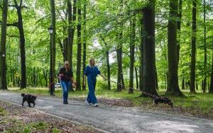 Za nami kolejne spacery z psami. Tym razem z okazji Międzynarodowego Dnia Psa (14)