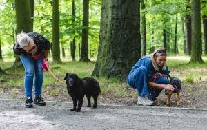 Za nami kolejne spacery z psami. Tym razem z okazji Międzynarodowego Dnia Psa (15)