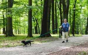 Za nami kolejne spacery z psami. Tym razem z okazji Międzynarodowego Dnia Psa (16)