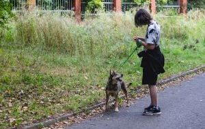 Międzynarodowy Dzień Psa. Chętnych na spacery z psami nie brakowało (6)