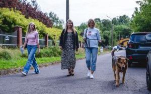 Międzynarodowy Dzień Psa. Chętnych na spacery z psami nie brakowało (8)