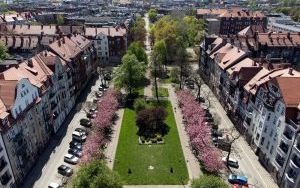 zdjecia promocyjne (3)