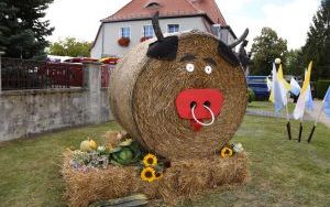 Bytomskie dożynki w Stolarzowicach (17)