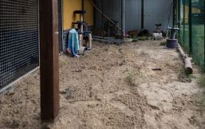Naprawiają, remontują i zabezpieczają schroniskową infrastrukturę (3)