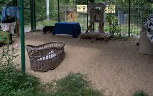 Naprawiają, remontują i zabezpieczają schroniskową infrastrukturę (5)