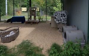 Naprawiają, remontują i zabezpieczają schroniskową infrastrukturę (7)