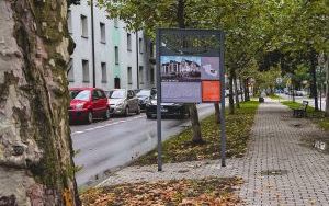 Tablice informacyjne w remoncie (3)