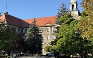 Fontanny przygotowane na zimę  (3)