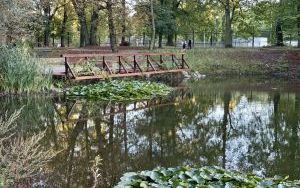 Taras widokowy w Parku Miejskim gotowy (3)