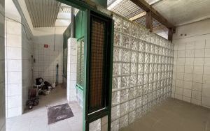 Schroniskowe ambulatorium od nowa (5)