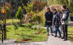 Kolorowy Ogród PSONI (8)