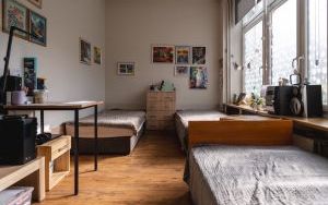 Kolorowy Ogród PSONI (11)
