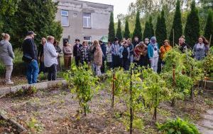 Kolorowy Ogród PSONI (14)
